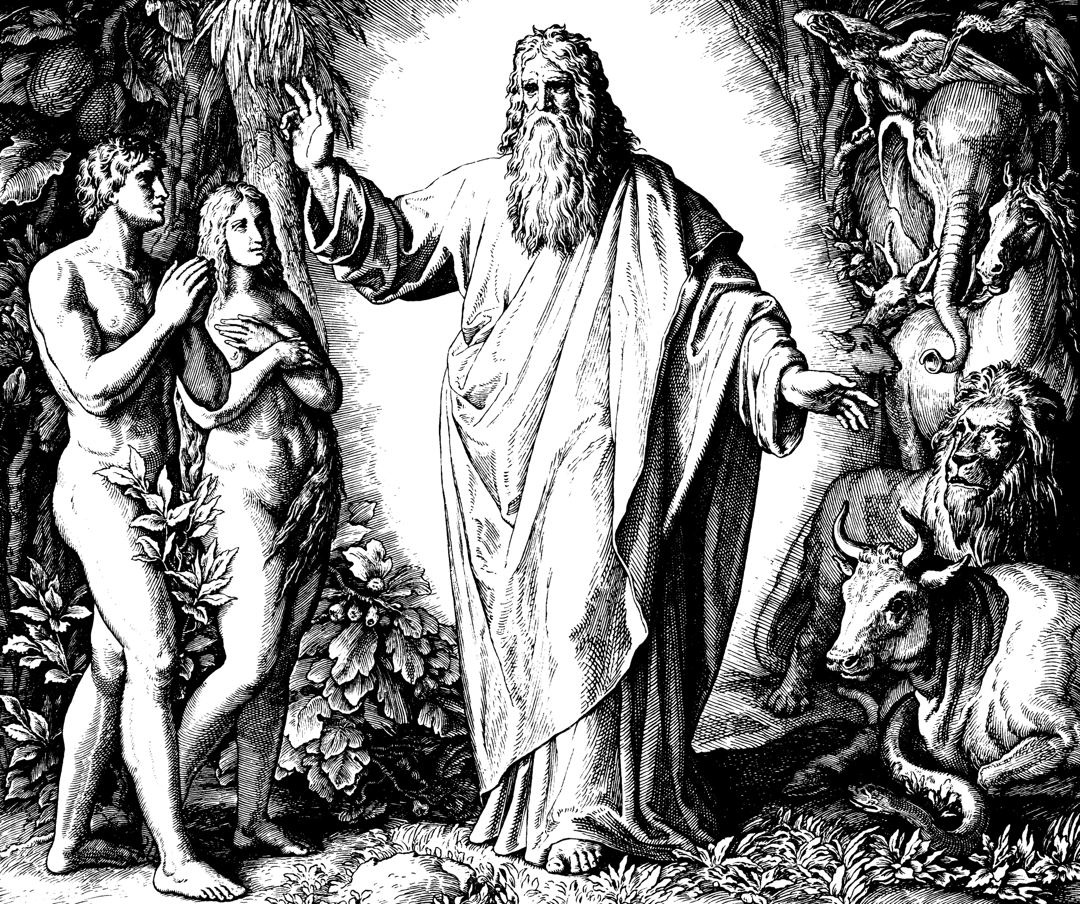 Criação da Humanidade por Deus. História da Salvação 1